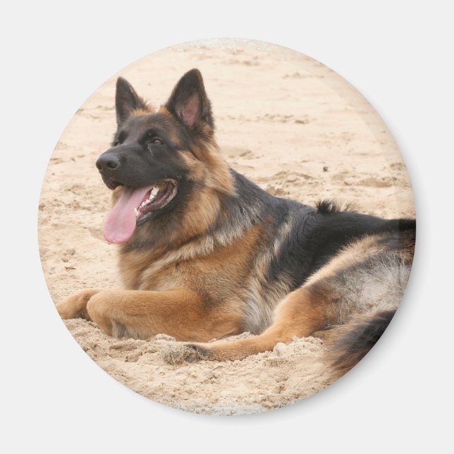 Imã Magneto do Cachorro do German shepherd em repouso (Frente)