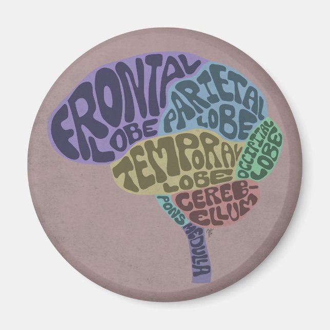 Imã Magneto do Cérebro (Frente)