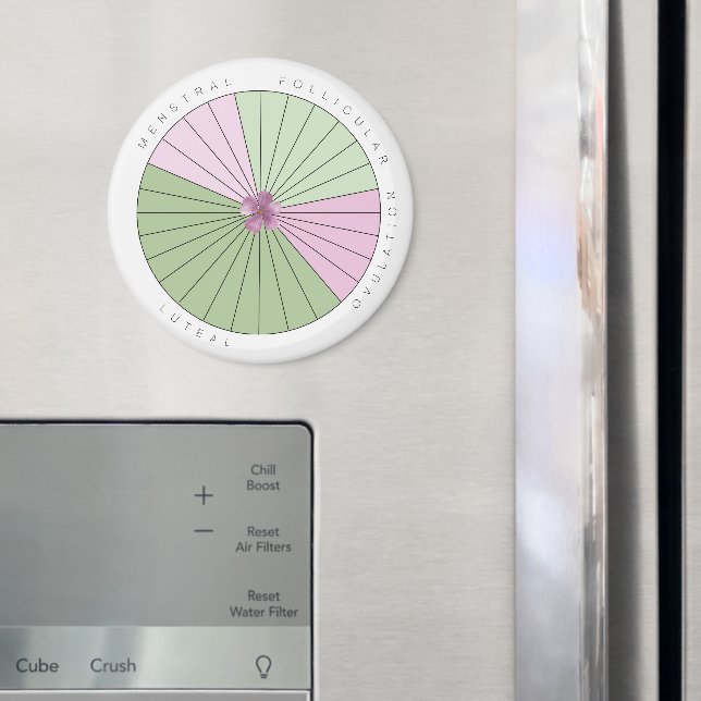 Imã Magneto do Controlador Ciclo de Período (In Situ (Fridge))