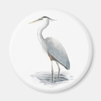 Imã Magneto Heron Azul excelente