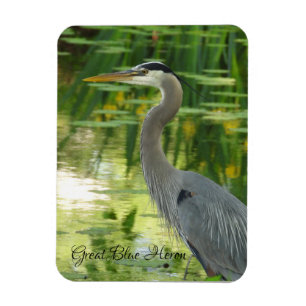 Ímã Magneto Heron Azul excelente