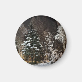 Imã Magneto Noturno da Floresta Negra fosco