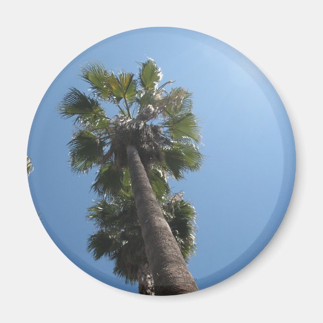 Imã Magneto Palm Tree (Frente)