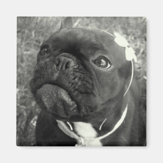 Imã Magneto para Meninas Flores