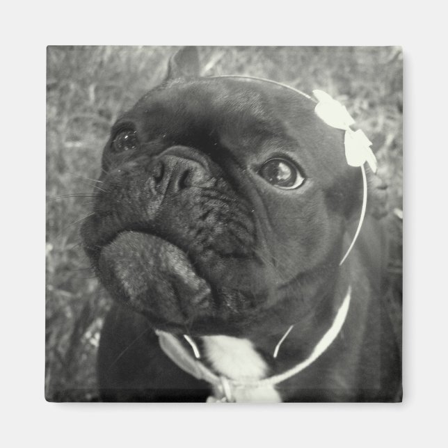 Imã Magneto para Meninas Flores (Frente)