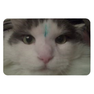 Ímã Magneto Personalizado Cosmo 3