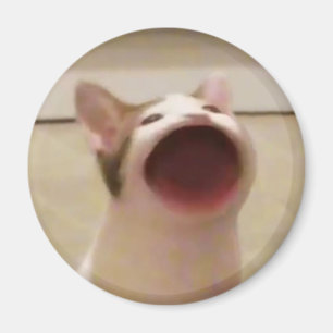 Imã Magneto pop Cat