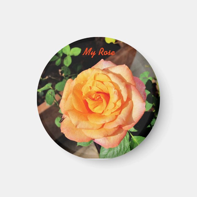 Imã Magneto Rosa Laranja (Frente)