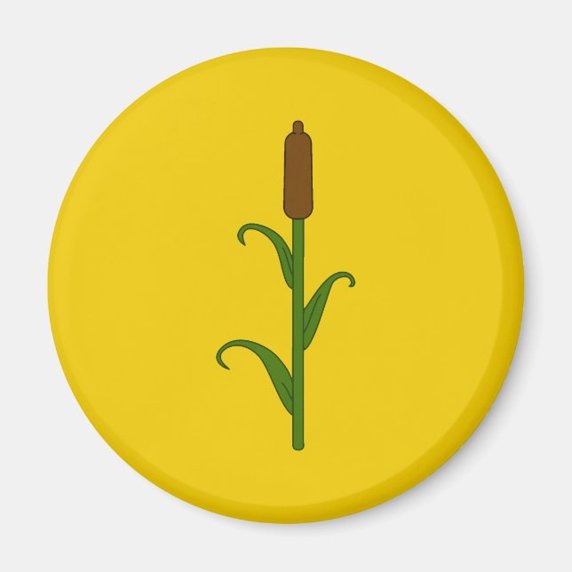 Imã Magneto SCA Rokeclif (Frente)