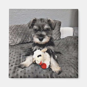 Imã Magneto Schnauzer