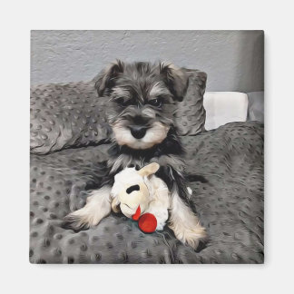Imã Magneto Schnauzer