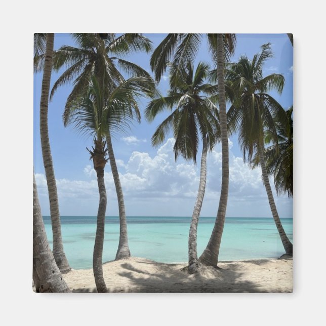 Imã Magneto tropical (Frente)