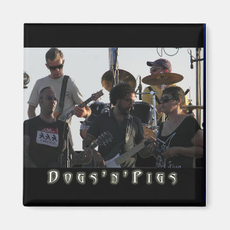 Imã Magnetos de Banda D'n'P 2