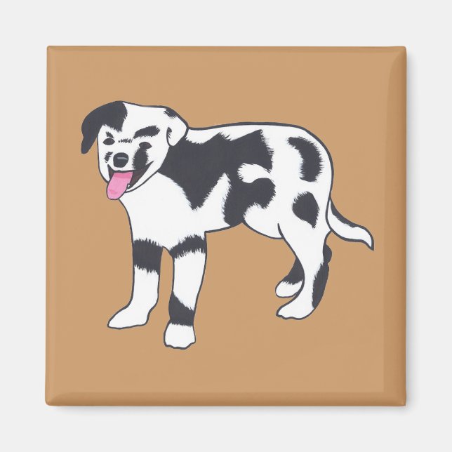 Imã Magnetos de cães de mancha pretos e brancos (Frente)