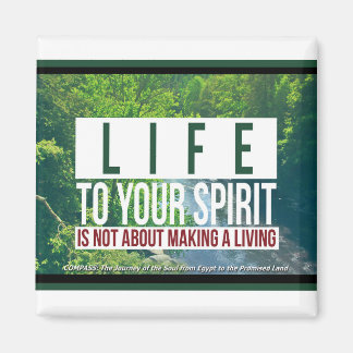 Imã Magnetos de refrigeração para motores