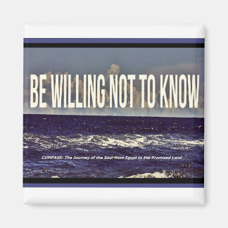 Imã Magnetos de refrigeração para motores