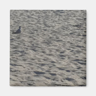 Imã Magnetos De Seagull