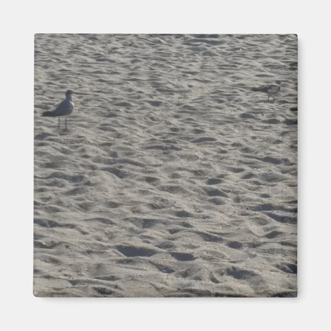 Imã Magnetos de Seagull (Frente)