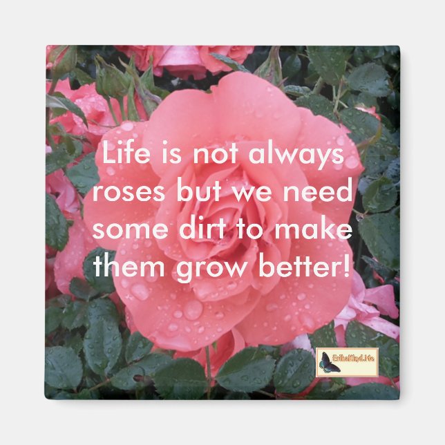 Imã Magnetos Inspirativos - Continuem em movimento (Frente)