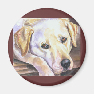 Imã Magnetos Labrador Retriever