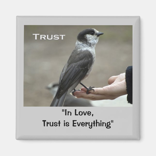 Imã Magnetos Motivacionais da Jay da cinza (Frente)