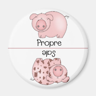 Imã Magnetos para máquinas de lavar louça, limpas, fra