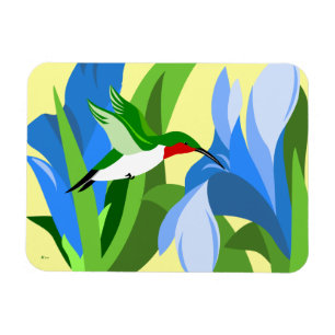 Ímã Magnetos retangulares de Hummingbird