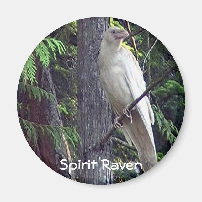 Imã Magnets de Raven Branco (Frente)