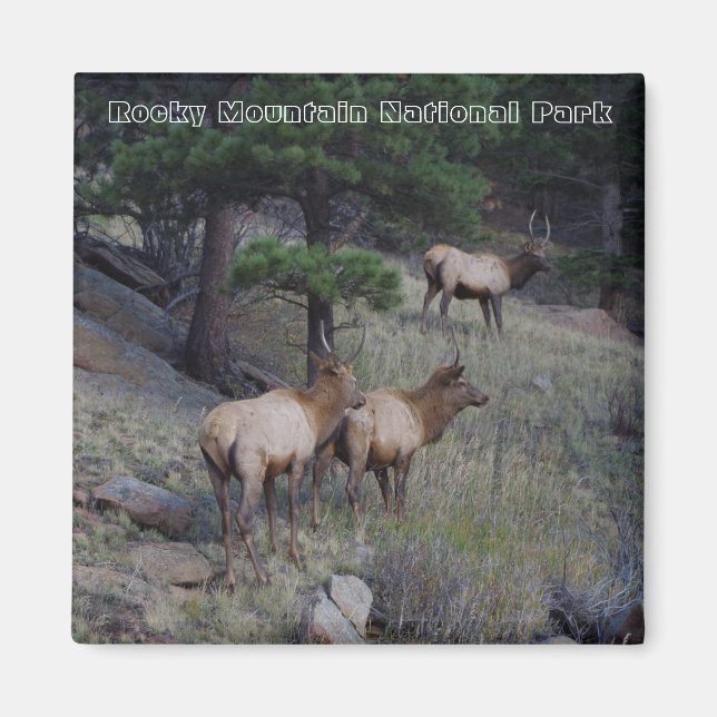 Imã Magnets do Parque Nacional das Montanhas Rochosas (Frente)