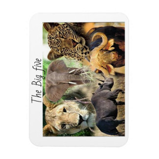 Ímã magnets kenya big five