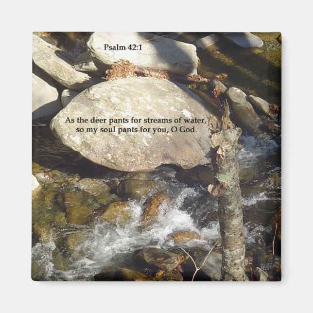 Imã Magnets: Salmo de Fluxo (Frente)