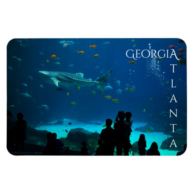 Ímã Magnífico Atlanta Georgia (Horizontal)