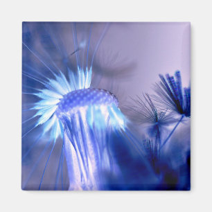 Imã Magnitude Impressão Floral Azul Quadrada