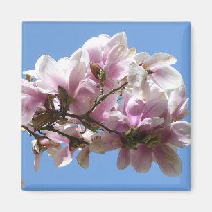 Imã Magnolia Blossom