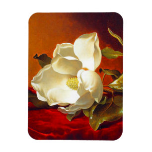 Ímã Magnolia em Red Velvet Martin Johnson Heade