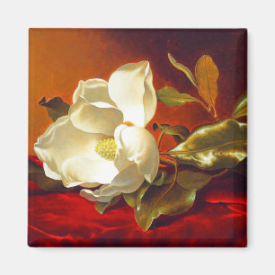 Imã Magnolia em Red Velvet Martin Johnson Heade