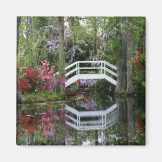 Imã Magnolia Gardens, S.C.
