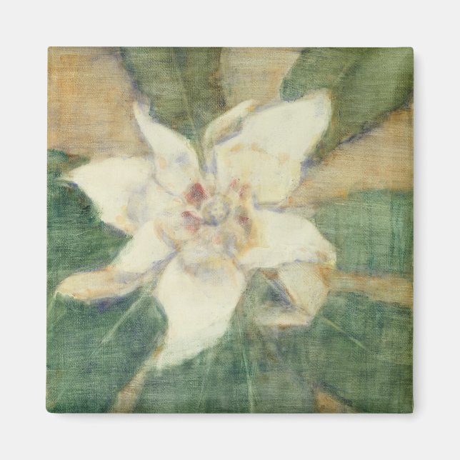 Imã Magnolia Grandiflora (Frente)