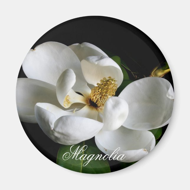 Imã Magnolia Magnet (Frente)