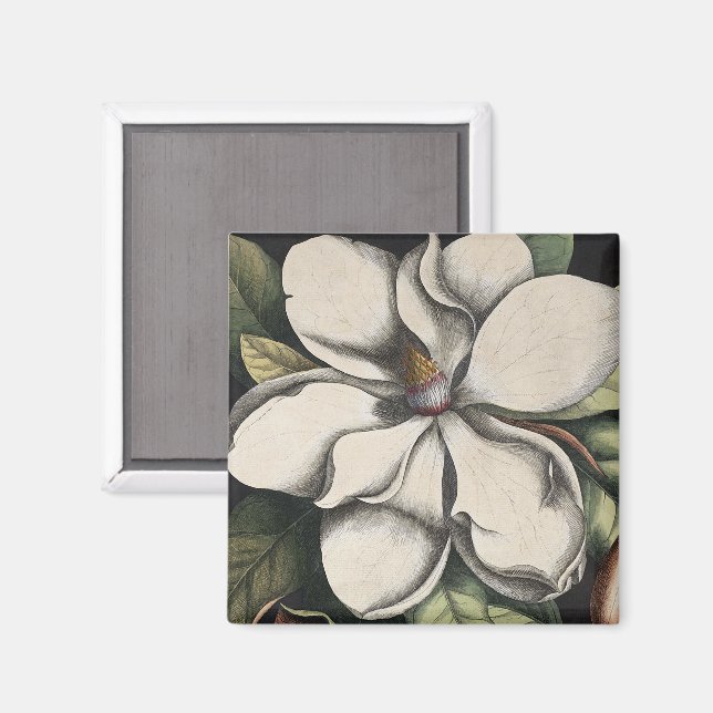 Imã Magnólia Vintage  (Front/Back)