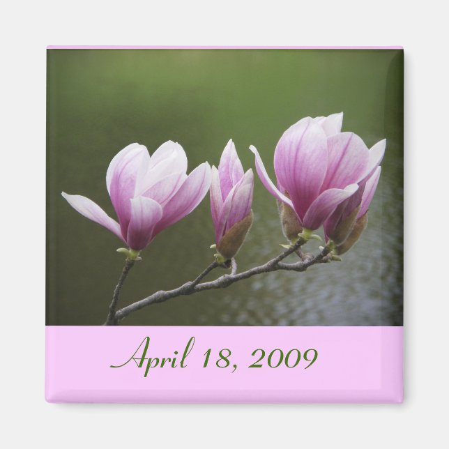 Imã Magnolias, 18 de abril de 2009 (Frente)