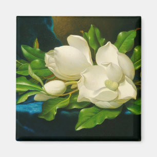 Imã Magnolias gigantes em um caldo de velet azul (Head