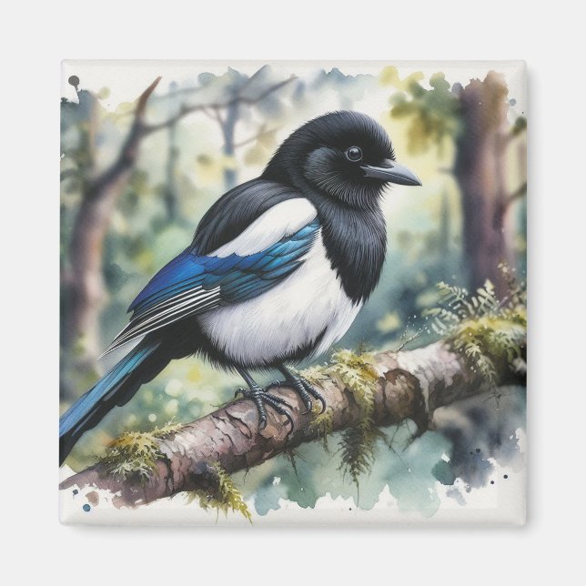 Imã Magpie Magnet (Frente)