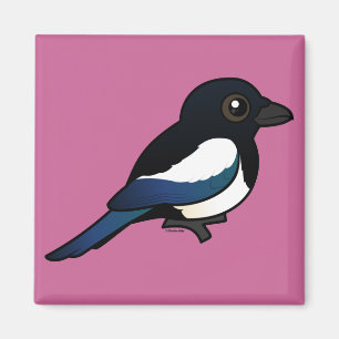 Imã Magpie Preto-faturado