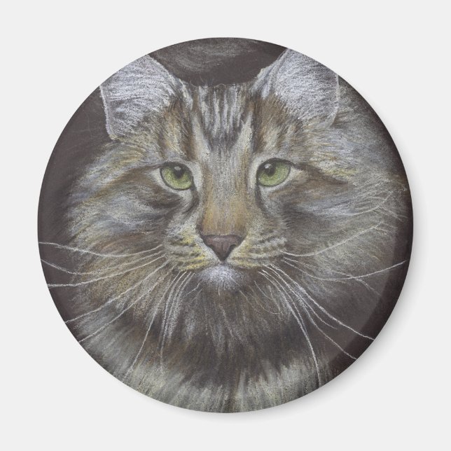 Imã Maine Coon Cat (Frente)