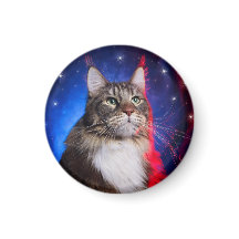 Maine Coon Cat Com Azul Branco Vermelho Aura E Est