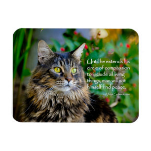 Ímã Maine Coon Cat Magnet Inspiracional