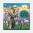 Maine Coon Cat - Rua Francis