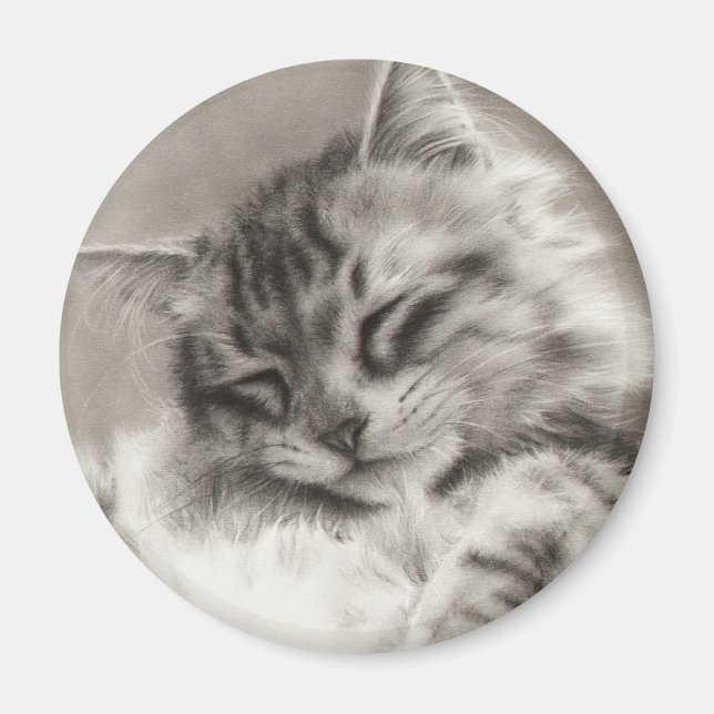 Imã Maine Coon Magnet (Frente)