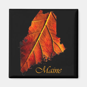Imã Maine Gift Magnet Souvenir
